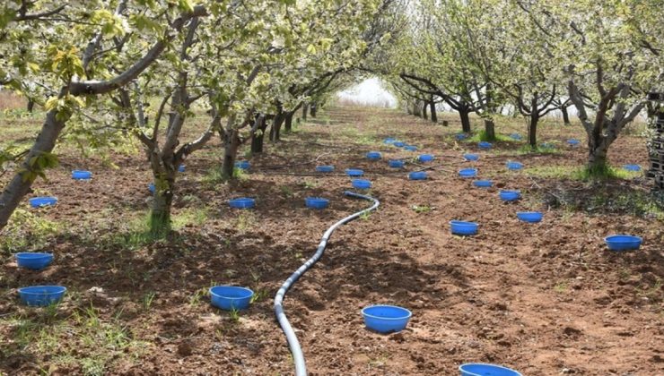 Bahçenizde Mutlaka Uygulayın! Mucizevi Mavi Leğen Yöntemi Bakın Ne İşe Yarıyor…