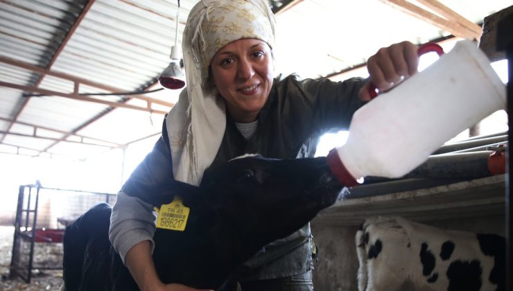 Plazadaki Kariyerinden Vazgeçen Genç Kadın, Çiftçiliğe Atıldı