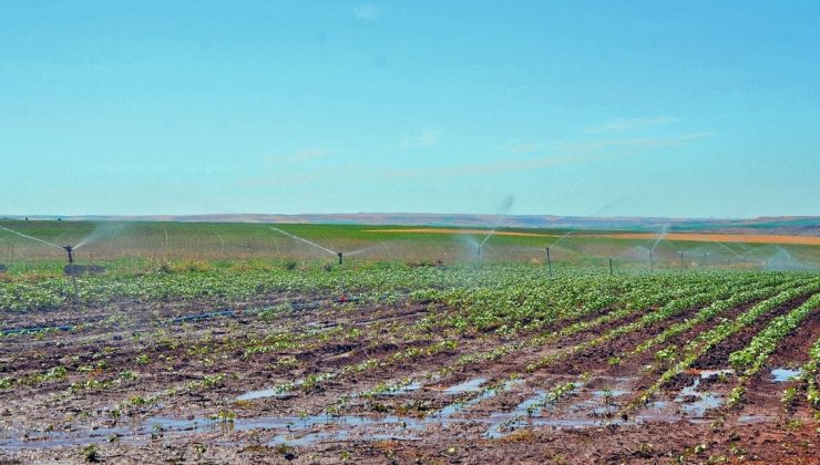 Dicle Elektrik, Tarımsal Sulama Abonelerini Uyardı: Borcunu Ödemeyen Aboneye Elektrik Verilmeyecek