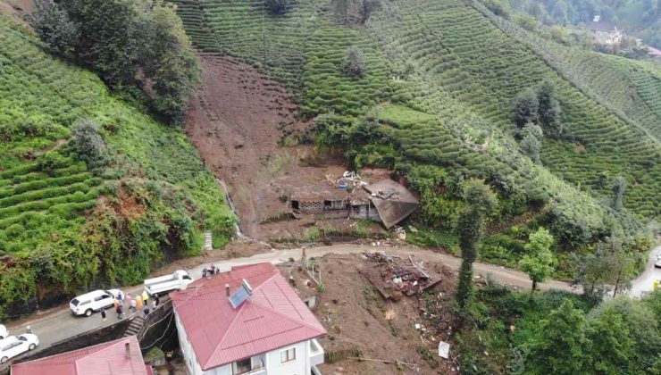 Karadeniz için heyelan riski: Kızılağaç ormanları söküldü, yerine çay dikildi, tehlike arttı