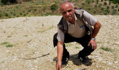 Binbir Emekle Dikti Gözü Gibi Baktı, Bir Gün Geldiğinde Hepsinin Yok Olduğunu Gördüğünde Kahroldu!