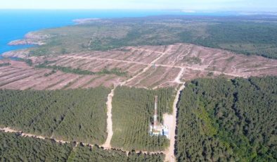 Rusya Türkiye’ye Sinop İsteğini İletti