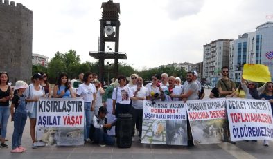 AKP’nin Sokak Hayvanları Kanununa Tepki: Bu Teklif Kan Kokuyor