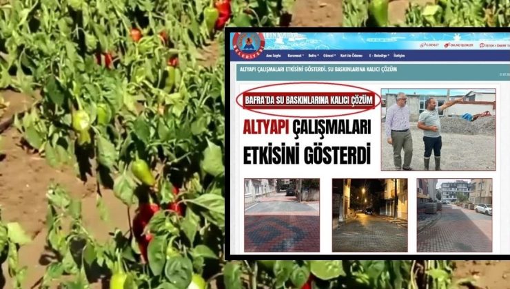 AKP’li Belediye’nin “Su birikintisi oluştu” dediği ilçede tonlarca mahsül ziyan oldu