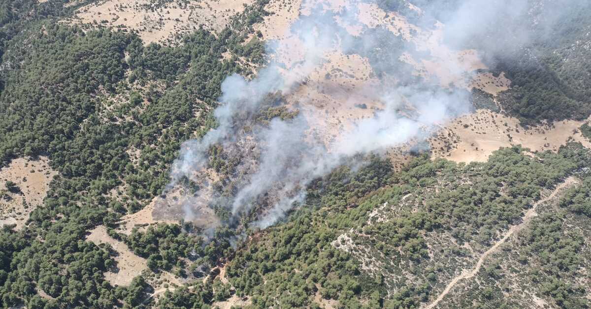 Antalya’nın Kaş ilçesinde orman yangını