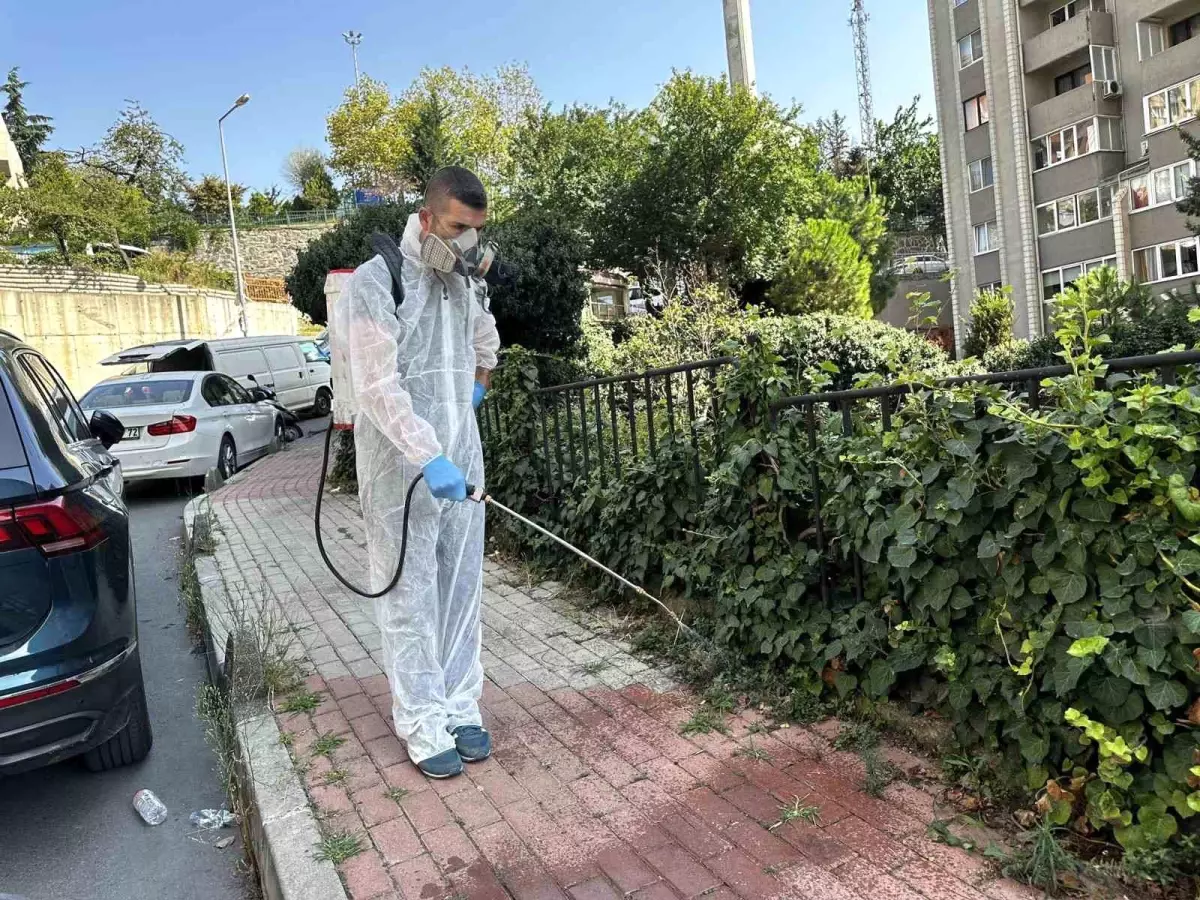 Kağıthane Belediyesi’nden Haşerelere Karşı Geniş Çaplı İlaçlama Çalışmaları