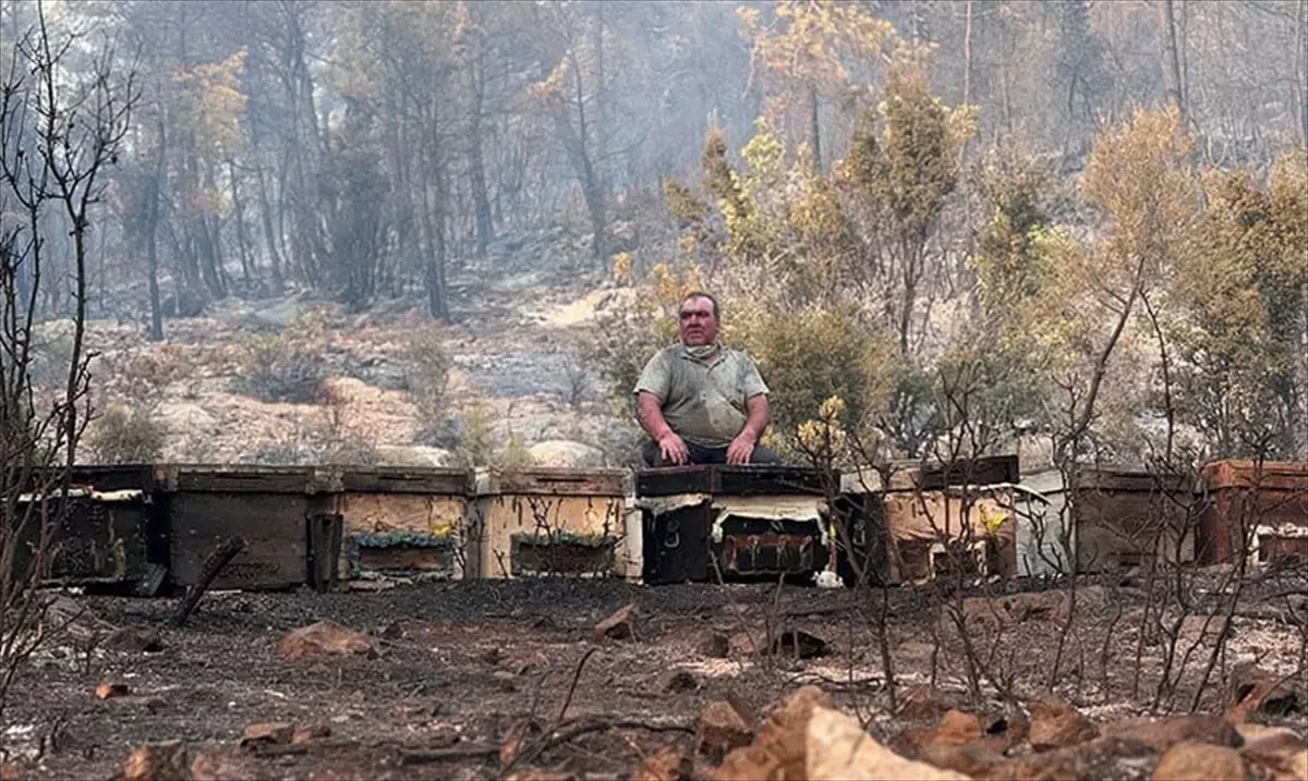 Muğla’dan Arıcılara Yangın Desteği