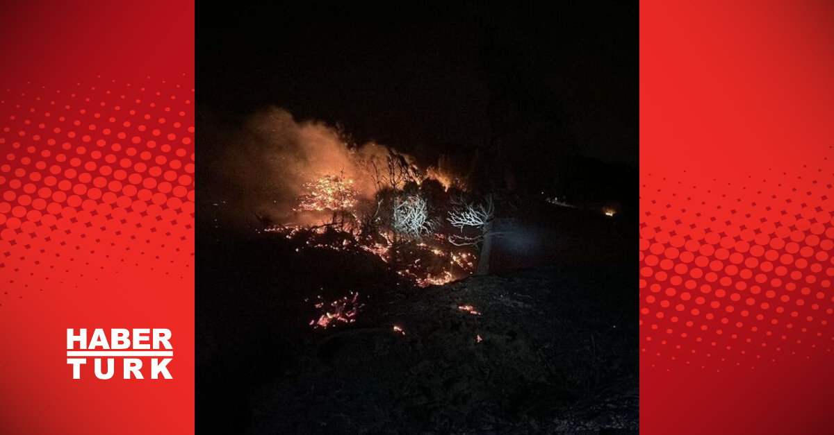 Hatay’daki orman yangınında 5 hektar alan tahrip oldu