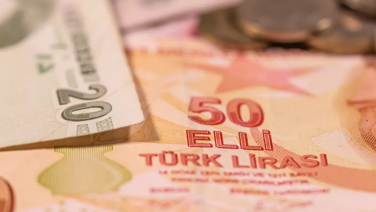 Yeni 5 ve 50 TL’lik banknotlar tedavüle çıktı